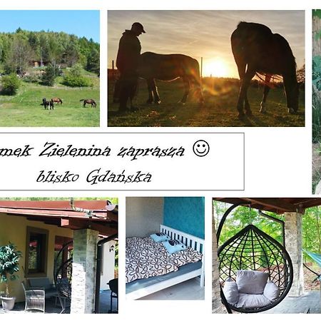 Domek Zielenina Mierzeszyn Exterior photo